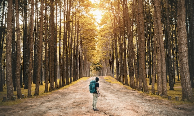 森の中に立っているバックパック旅行者を持つ若い男。背面図