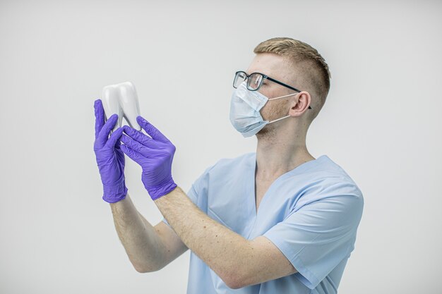 Il giovane dentista bello con gli occhiali e la maschera protettiva tiene il modello del dente molare