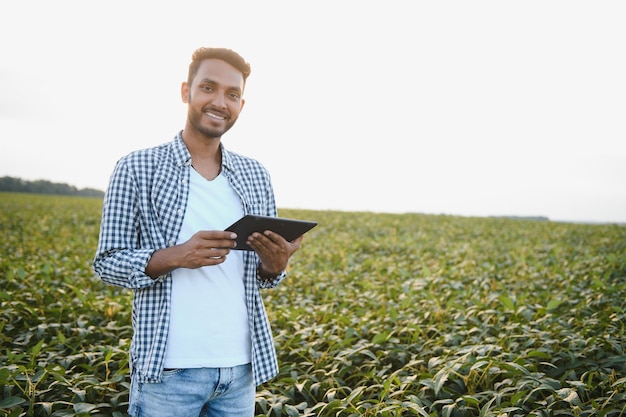 A young handsome Indian agronomist is working in a soybean field and studying the crop