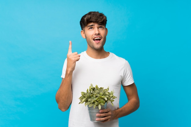 Young handsome man over isolated blue wall taking a flowerpot and pointing up