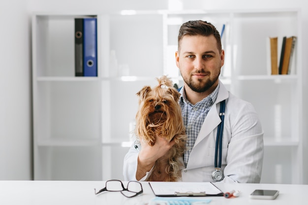 Young handsome veterinarian doctor check yorkshire terier