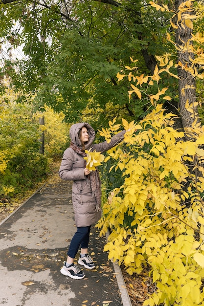 Young happiness beautiful girl with yellow leaves Colors of autumn autumn season