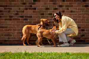 Photo young and happy beautiful woman walk with two redcolored dogs on brick wall background