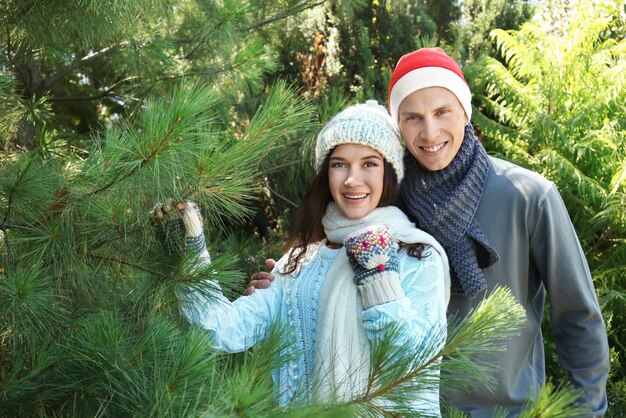 Young happy couple at Christmas tree market