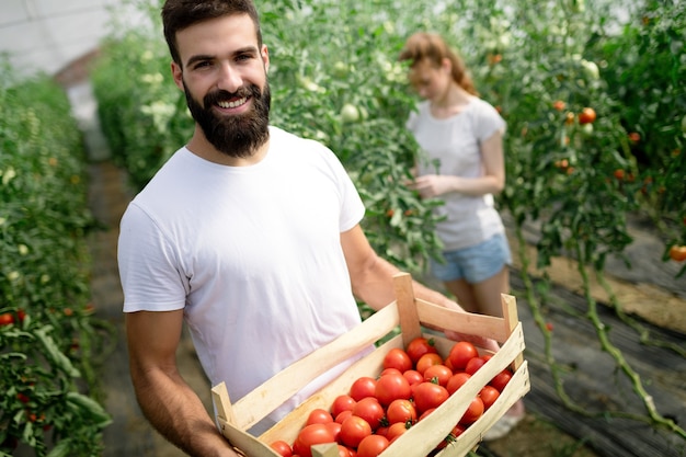 Young happy couple of farmers working in greenhouse