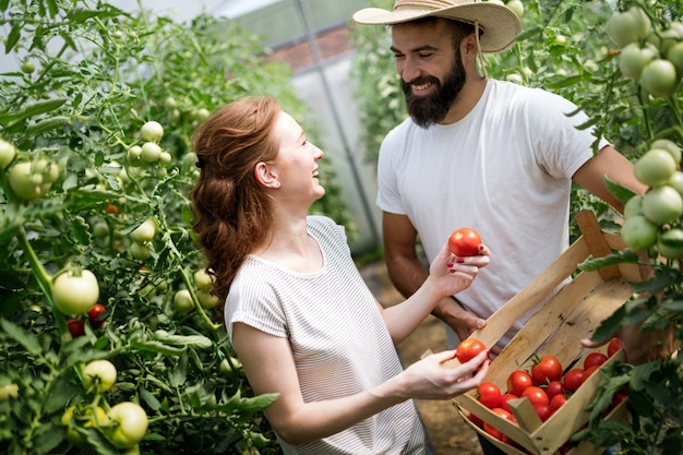 Young happy couple of farmers working in greenhouse