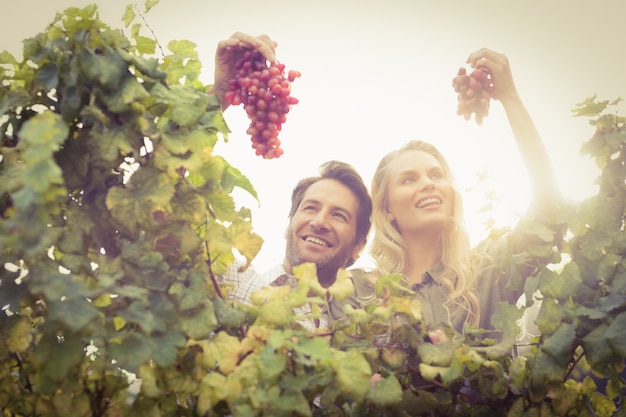 Young happy couple holding grapes