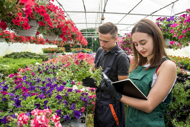 若い幸せな花屋のカップルは温室で花の世話をします。家族経営