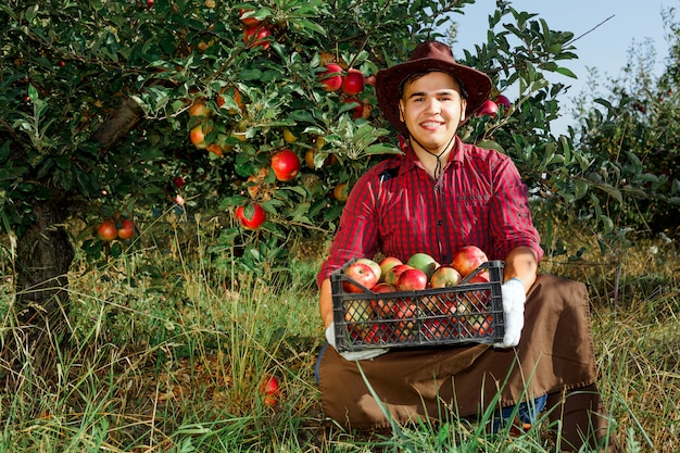 熟したリンゴを収集する庭で若い幸せな男