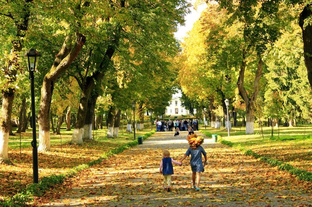 young happy sisters with cries wow run in the autumnal park