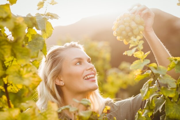 Young happy woman holding grapes