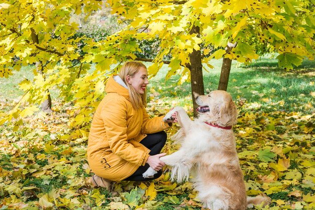 Young happy woman with her retriever among yellow autumn leaves.