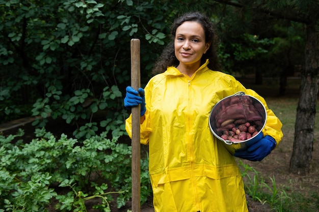 Young Hispanic woman farmer in a yellow raincoat with a garden shovel and a metal bucket with freshly dug potatoes