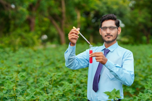 Young indian agronomist collecting sample at agriculture field.