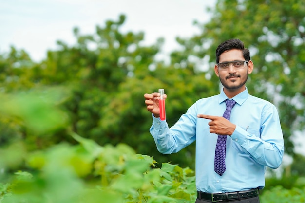 Giovane agronomo indiano che raccoglie campione al campo di agricoltura.