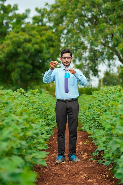 Young indian agronomist collecting sample at agriculture field.