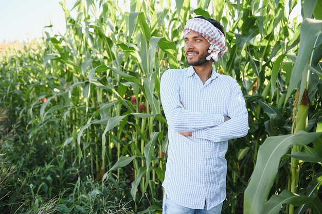 トウモロコシ畑の若いインド人農業学者