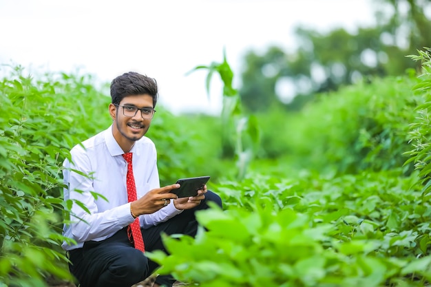 Young indian agronomist with smartphone at field