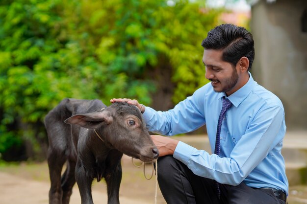 Young indian animal husbandry officer or banker with calf