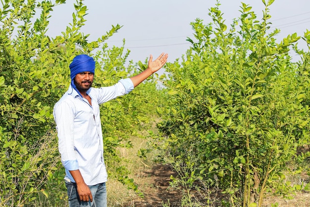 Young indian farmer at agriculture field