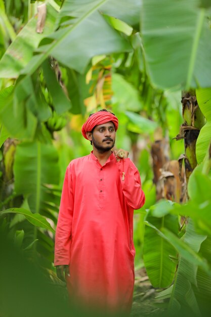 Young indian farmer on the banana field