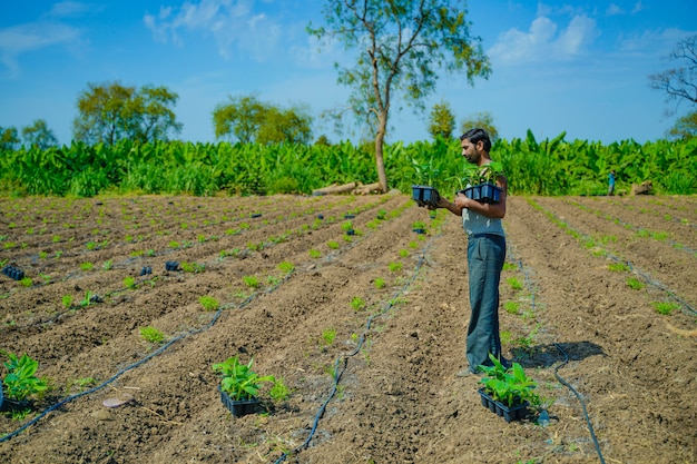 Young indian farmer at banana field