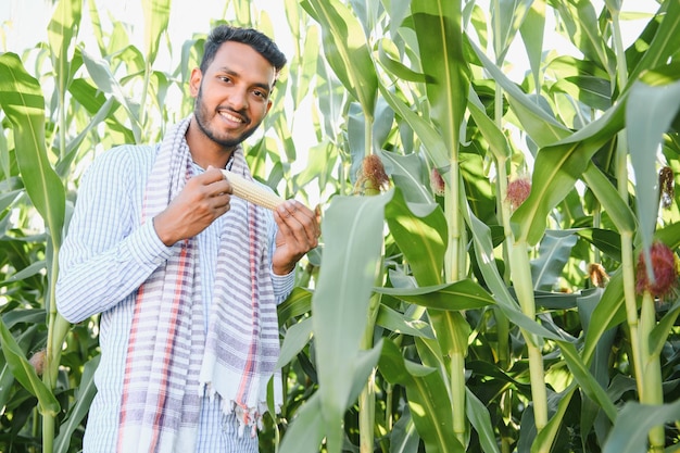 young indian farmer at corn field