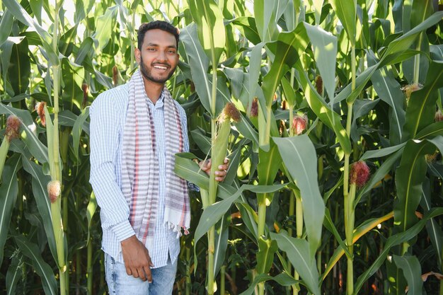 young indian farmer at corn field