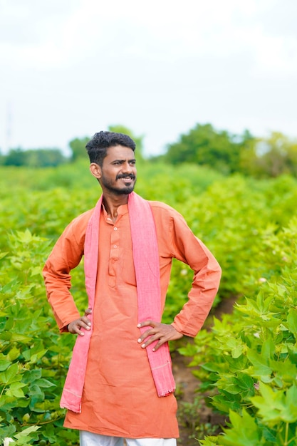 Young indian farmer at cotton agriculture field