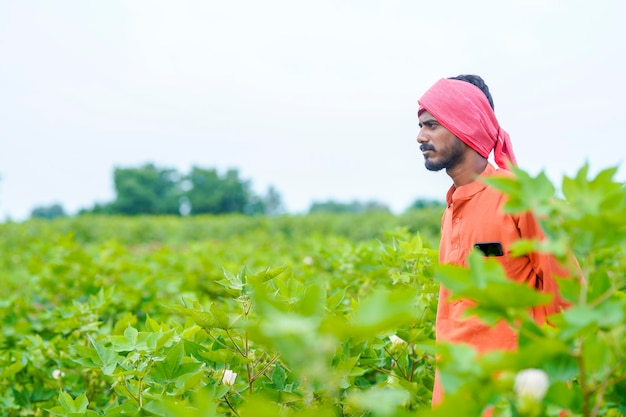 Young indian farmer at cotton agriculture field