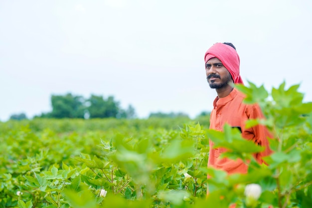 Young indian farmer at cotton agriculture field