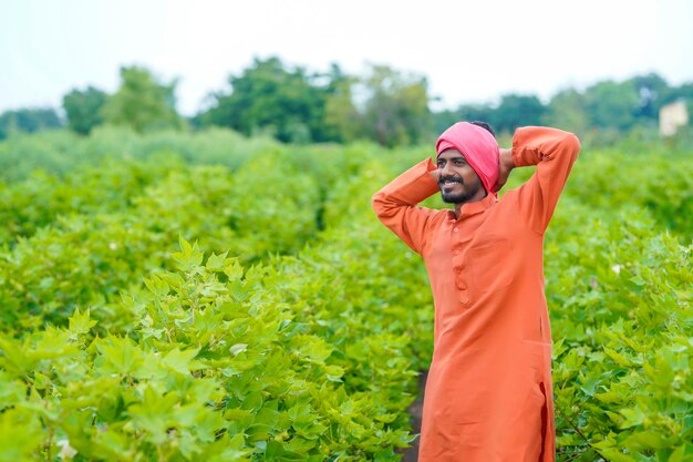 Young indian farmer at cotton agriculture field