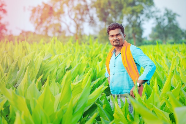 young indian farmer at field