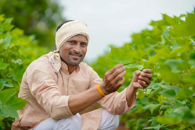 Photo young indian farmer at green cotton agriculture field.