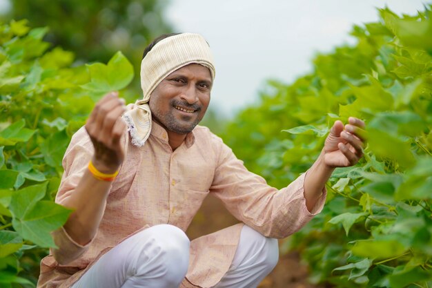 緑の綿の農業分野で若いインドの農民。