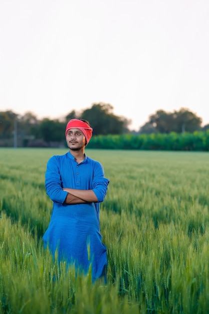 Young indian farmer at green wheat field