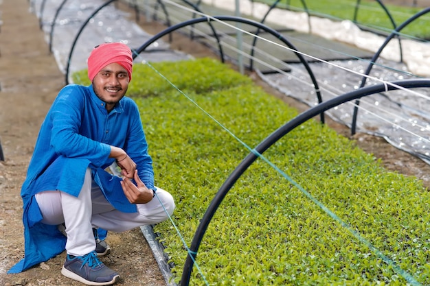 Young indian farmer at greenhouse or poly house