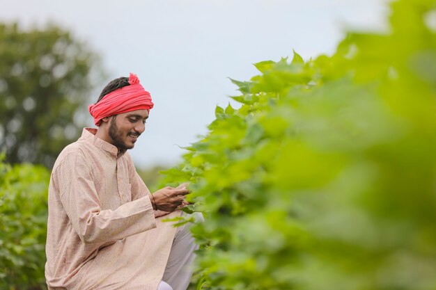 Young indian farmer observing at agriculture field.