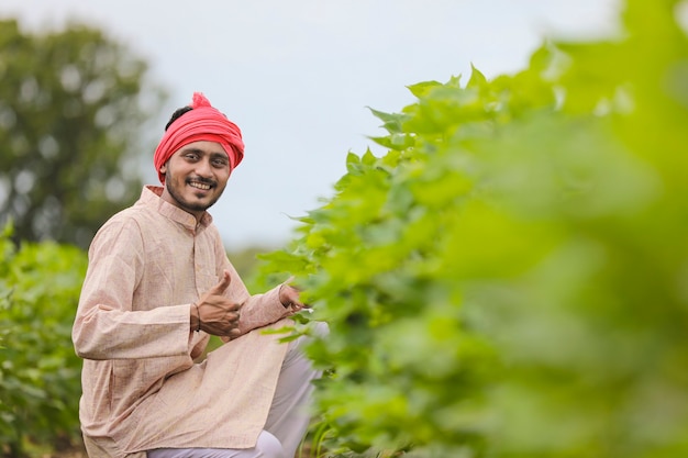 Young indian farmer observing at agriculture field.