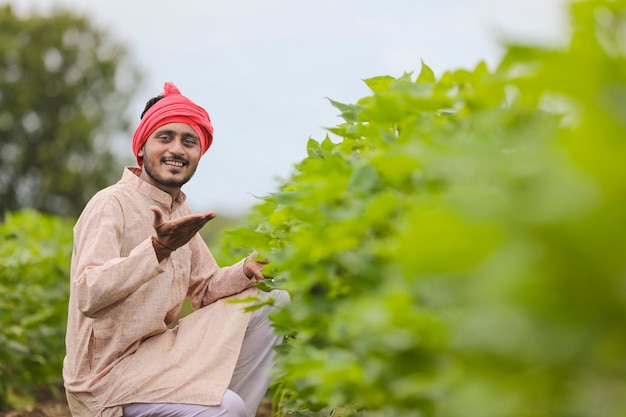 Young indian farmer observing at agriculture field.