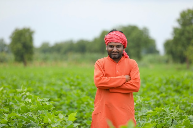 Young indian farmer standing in cotton agriculture field