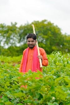 Giovane agricoltore indiano che sta nel campo di agricoltura del cotone.