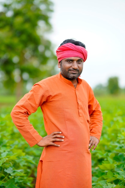 Young indian farmer standing in cotton agriculture field.