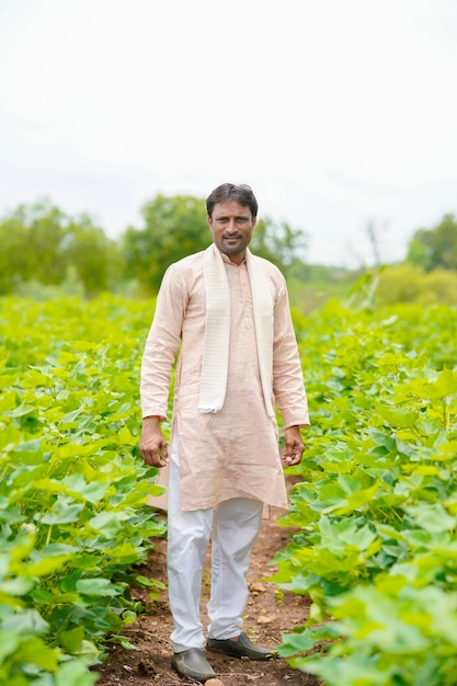 Young indian farmer standing in cotton agriculture field.