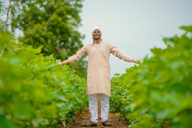 Young indian farmer standing in cotton agriculture field.