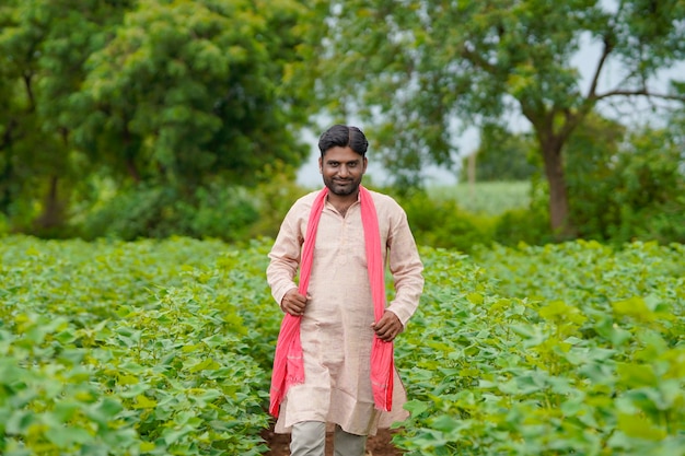 Young indian farmer standing in cotton agriculture field.