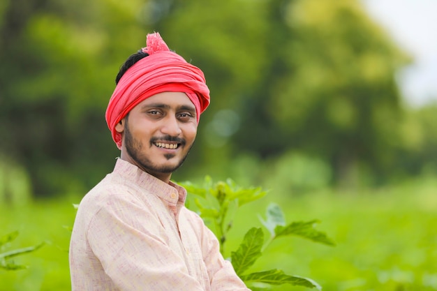 Young Indian farmer standing at green agriculture field.