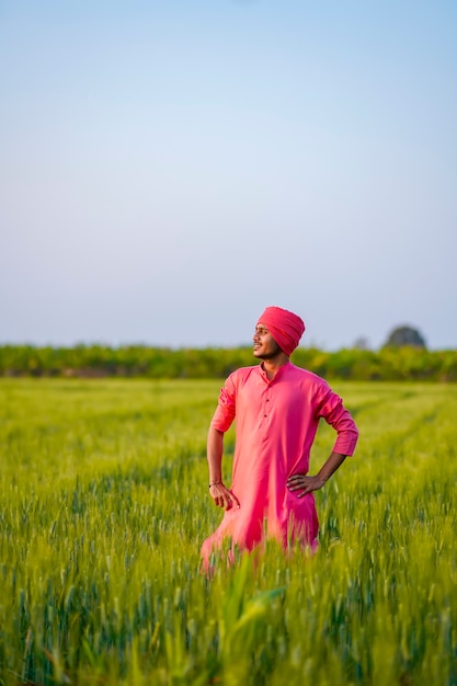 Young indian farmer standing at green wheat field