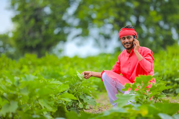 Giovane agricoltore indiano parlando al telefono cellulare al campo di melanzane verdi