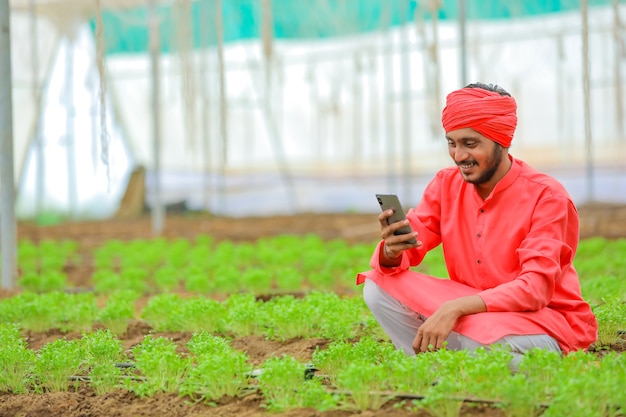 Young indian farmer using smartphone at poly house